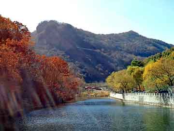 澳门二四六天天彩图库，洛川seo外包